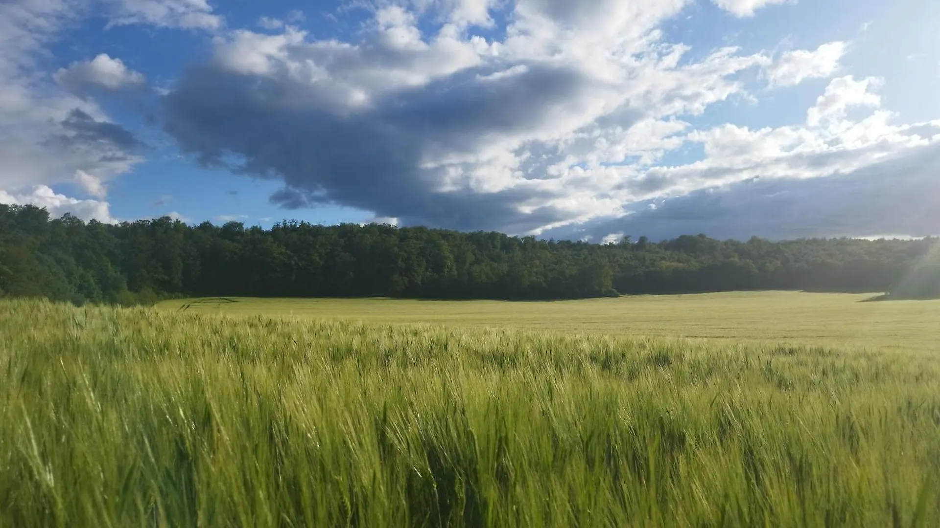 Maison De Campagne Avec Jardin Viterne 0*,  فرنسا