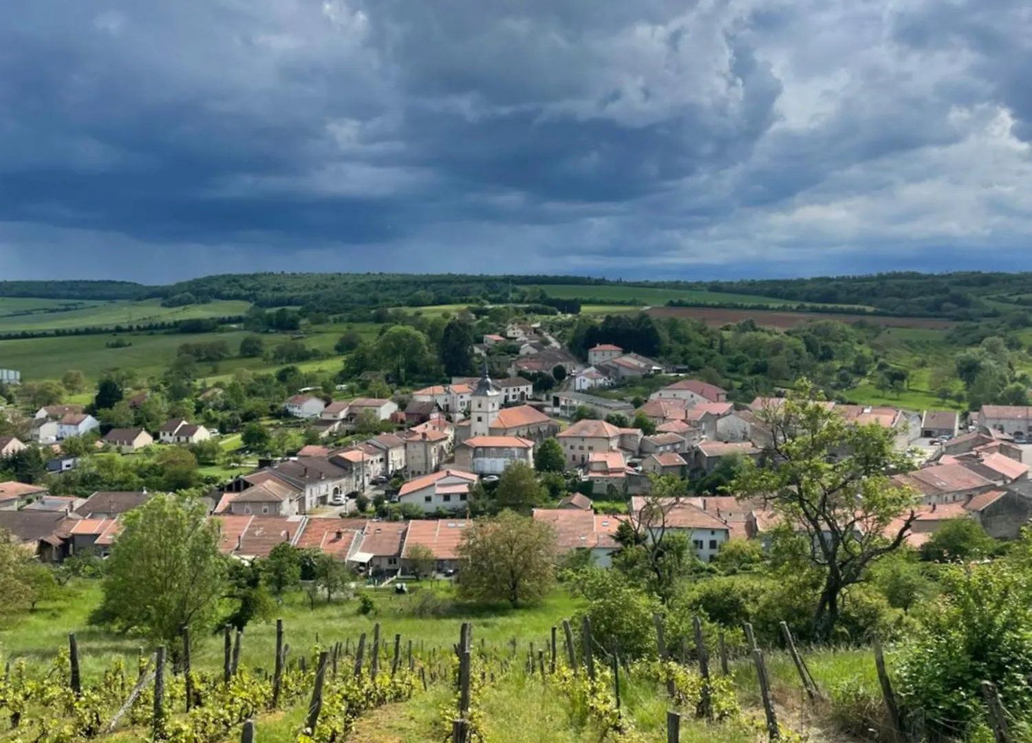 Maison De Campagne Avec Jardin Viterne 0*,